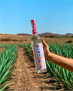 Mezcal Tatemado