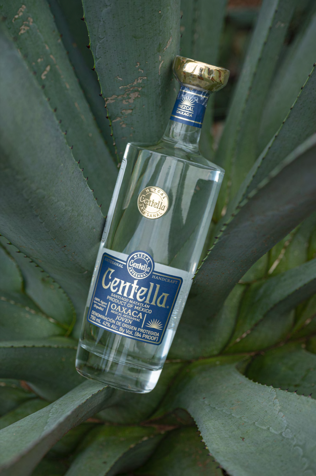 Centella, Joven Mezcal